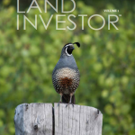 land-investor-web-cover_0