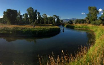 hopper fishin 1