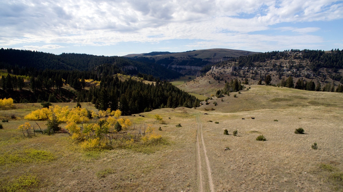 Vaya Con Dios - Smith River, Montana from Fay Ranches on Vimeo .