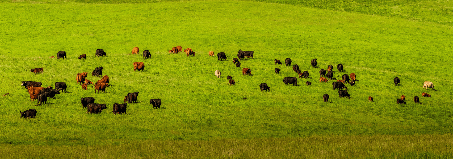 GREG FAYFEATURED IN THE WALL STREET JOURNAL