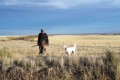 Vinny Delgado Pheasant Hunting Montana