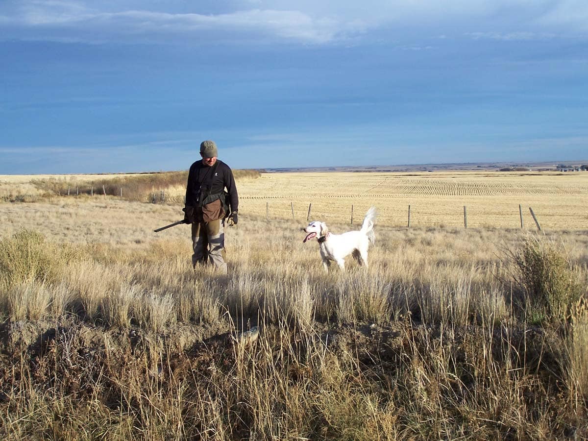 Vinny Delgado Pheasant Hunting Montana