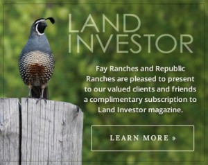 Land Investor Vol 1 Call to Action