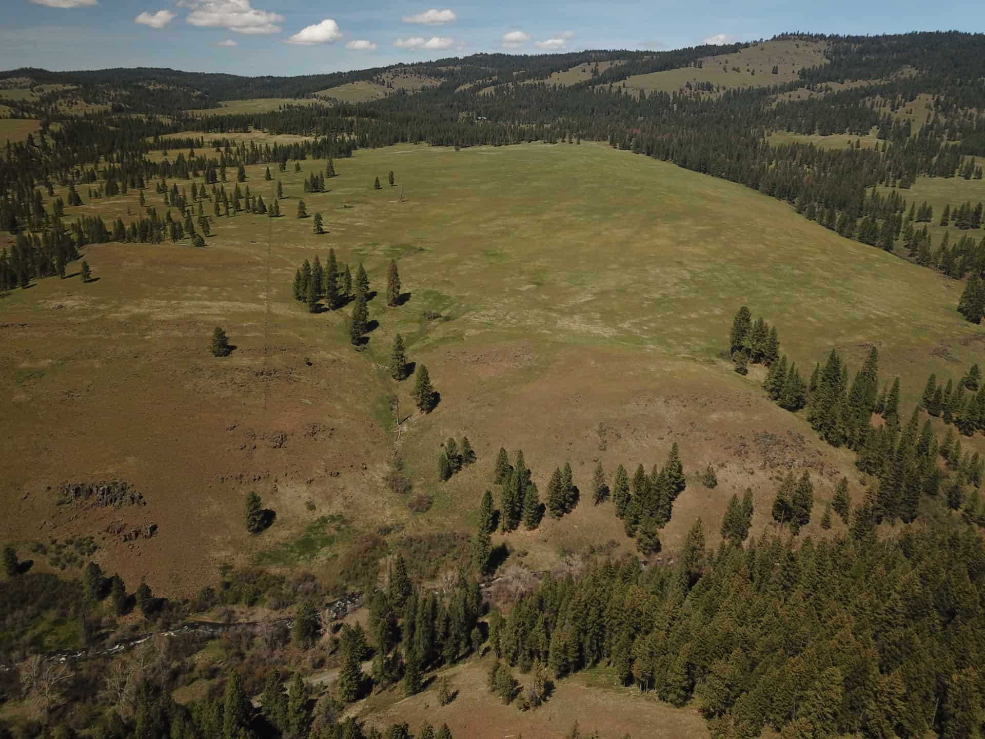 excellent-cattle-grazing-lower-middle-fork-ranch-oregon