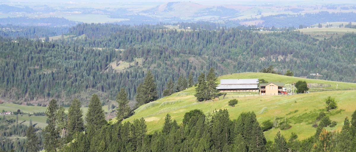 Big Cedar Ranch Idaho Fay Ranches