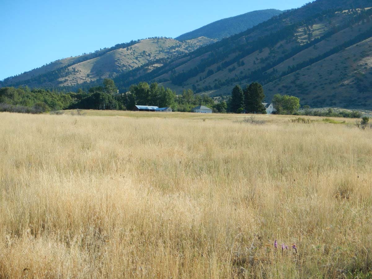 bridger foothills ranch buildings grass