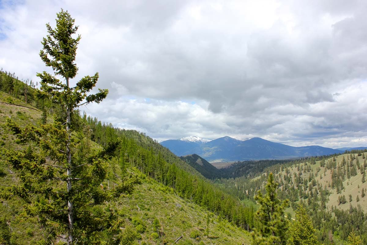 timberland eightmile overlook montana valley