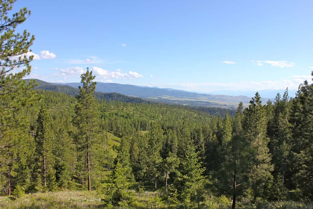 timberland eightmile overlook montana Hills
