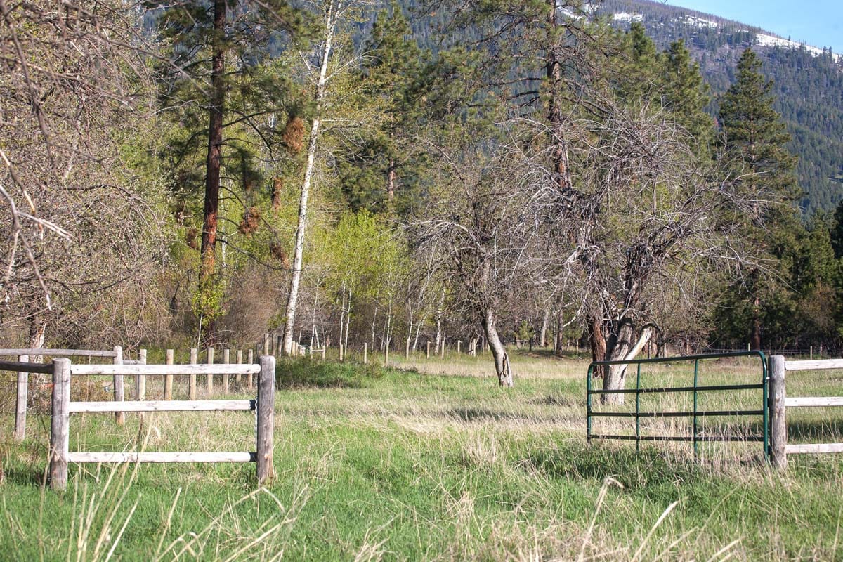 camas creek ranch wood fence
