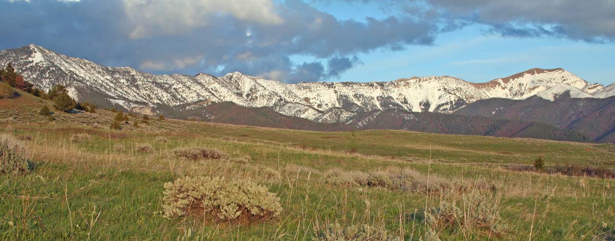 snowcapped elk ridge montana