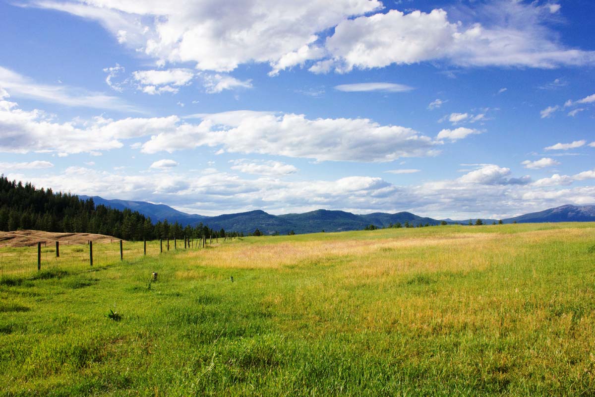 glade ranch montana fence