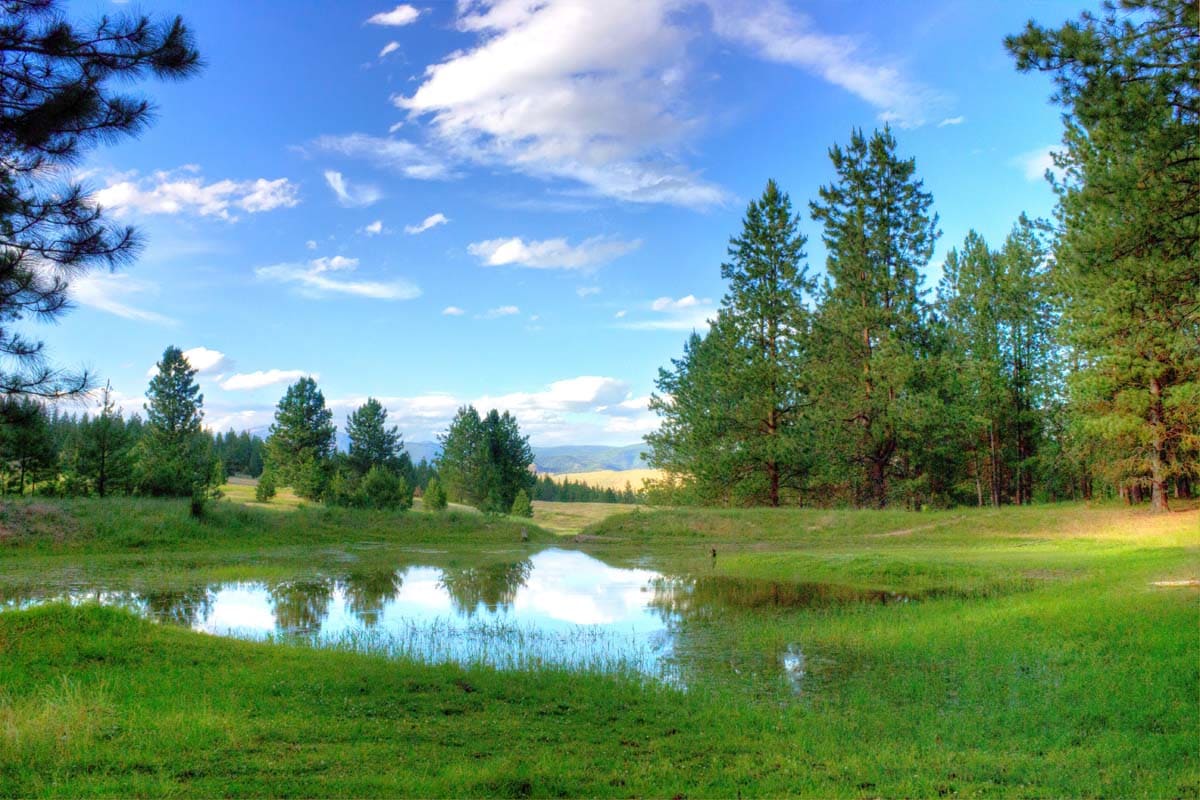 glade ranch montana pond