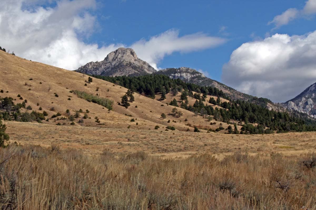 elk ridge montana hills