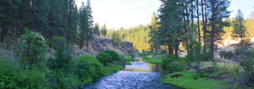 Lower Middle Fork Ranch - Oregon | Fay Ranches