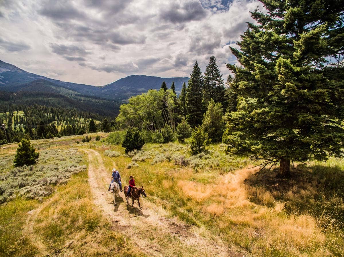 Saul Creative Elk Peaks Ranch Lifestyle trail ride