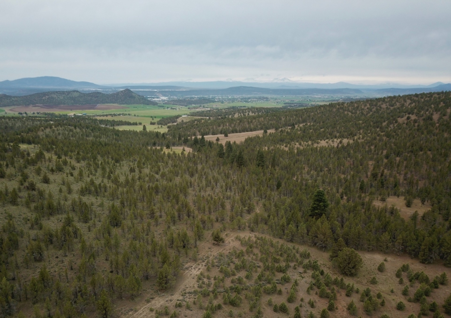 Hunting Reserves Dry Creek Hunting Reserve | Prineville Oregon | Fay Ranches