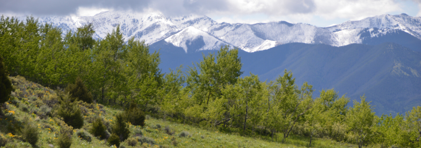 Bridger Foothills Ranch Montana Fay Ranches