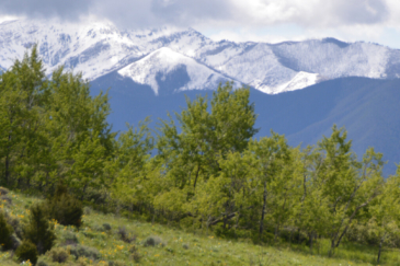 montana land for sale bridger foothills ranch