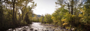 montana ranch for sale rock creek fishing retreat