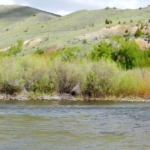 montana ranches for sale beaverhead springs ranch