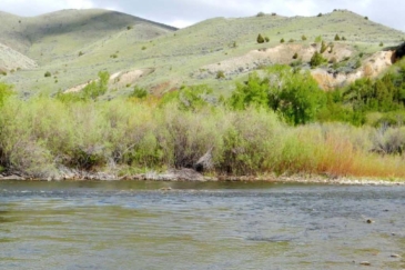 montana ranches for sale beaverhead springs ranch