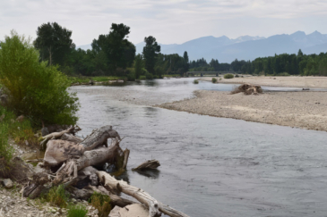 montana ranches for sale bell crossing