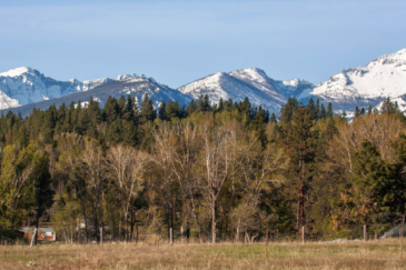 montana ranches for sale camas creek ranch