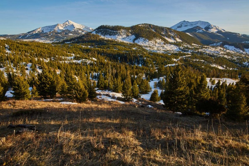 Jack Creek Reserve - Montana | Fay Ranches