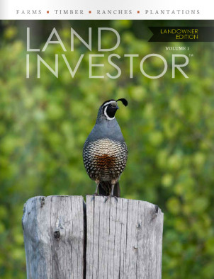 land-investor-lo-edition-cover-2015
