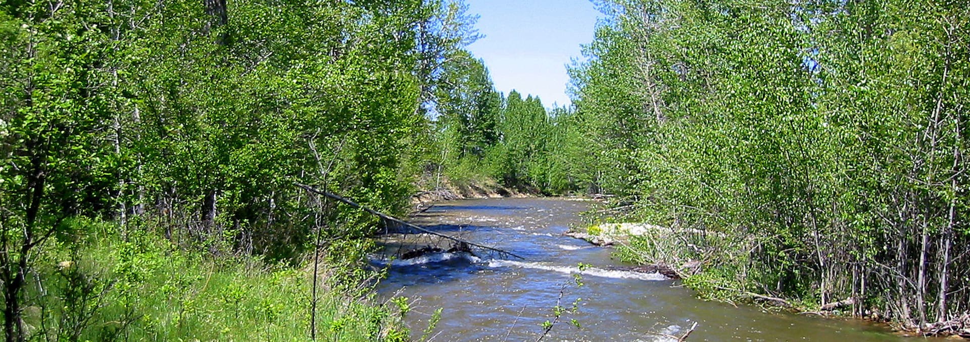 montana property for sale kober ranch