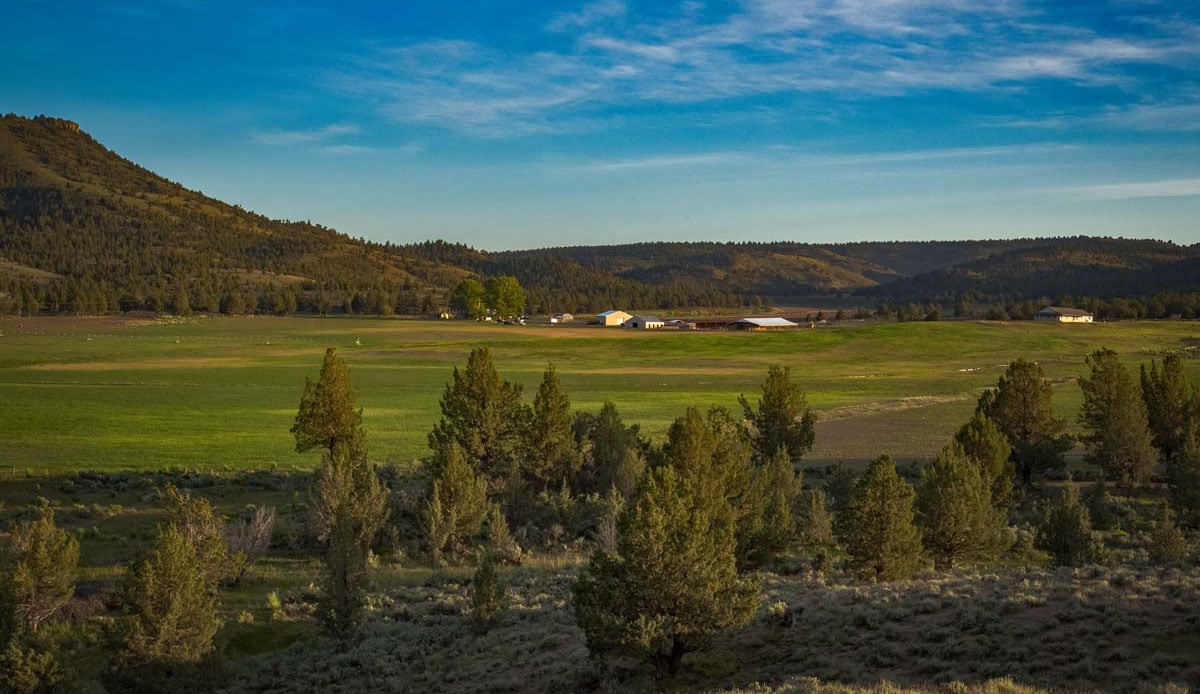 96 Ranch Oregon Fay Ranches