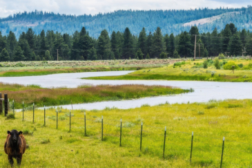 oregon ranches for sale c-7 ranch