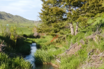 montana ranches for sale billman creek ranch