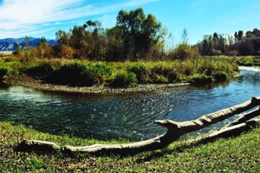 montana ranches for sale east gallatin river house