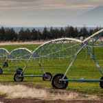 oregon land for sale mountain view hay and cattle ranch