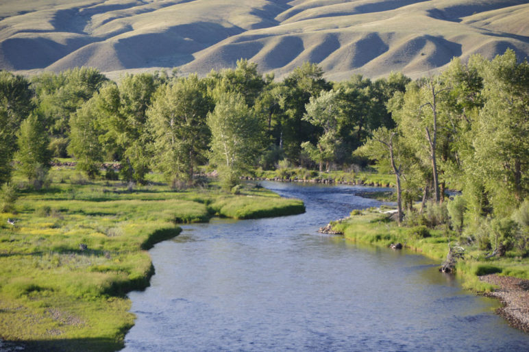 Big Hole Vistas Ranch Montana Fay Ranches