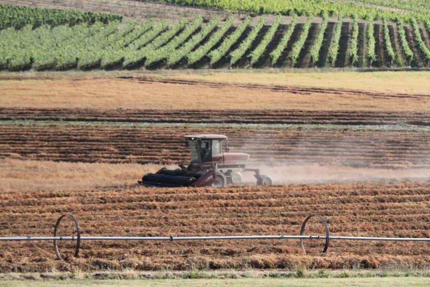 Agricultural Lease Rates A Guide To Estimating Potential For