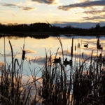 idaho land for sale henry's fork ranch on the snake river