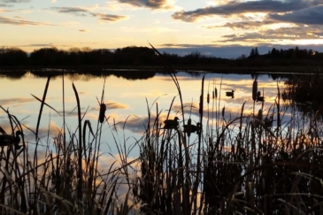 idaho land for sale henry's fork ranch on the snake river