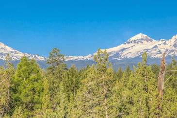 oregon property for sale homestead at three sisters