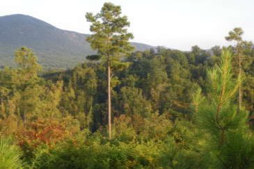 tennessee ranches for sale cherokee ridge