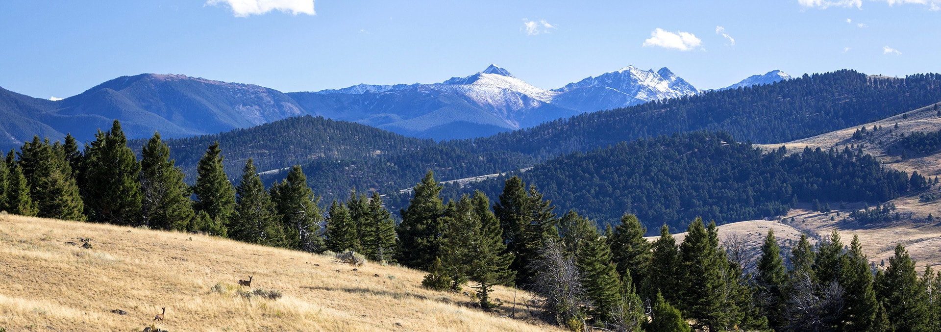 montana ranches for sale picnic point