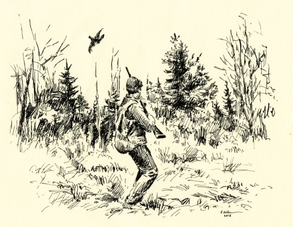 bird-hunt-image
