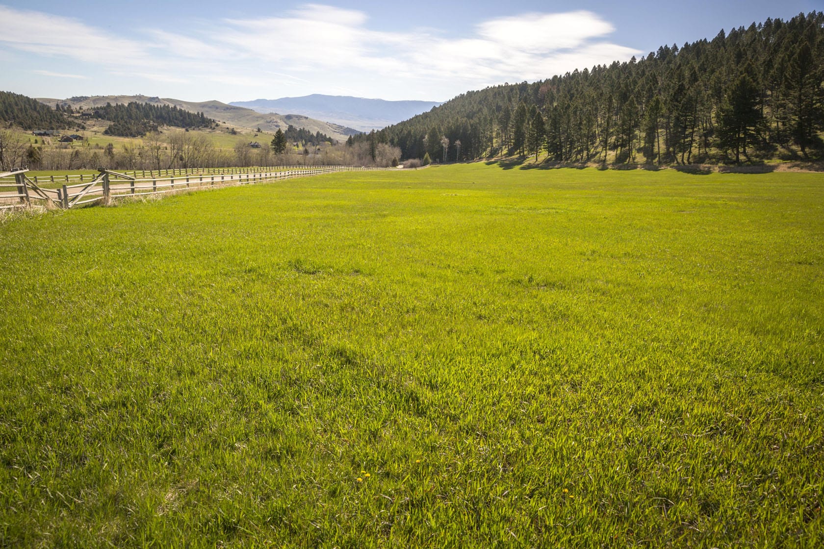 hay irrigation montana Triple S Ranch