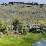 oregon ranches for sale alder creek ranch