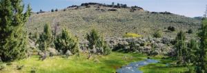 oregon ranches for sale alder creek ranch