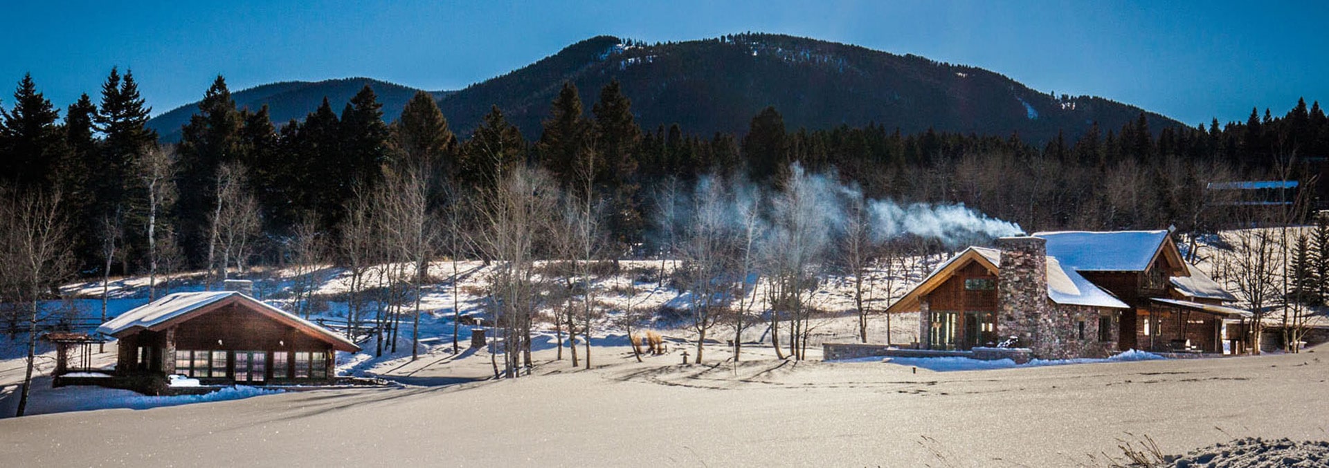 montana property for sale cottonwood retreat