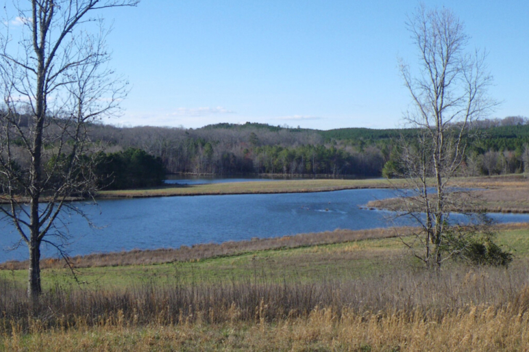 Tennessee Land For Sale TN Real Estate, Homes, Farms Fay Ranches