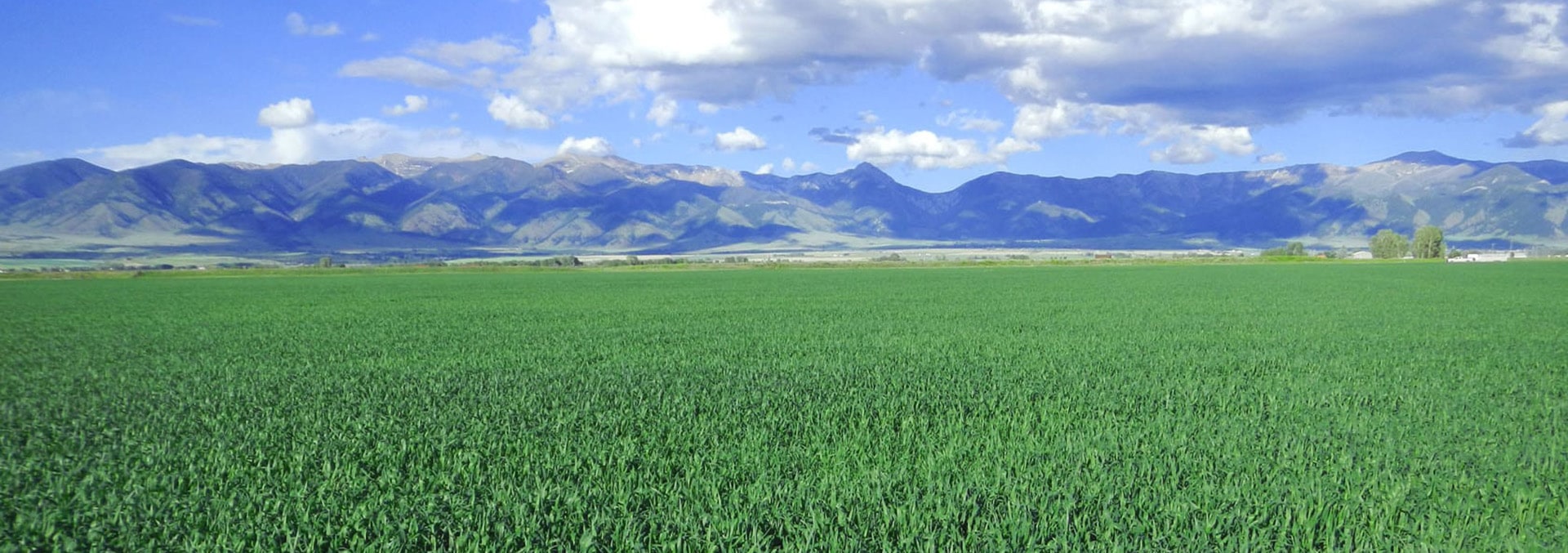 montana land for sale old bolinger place