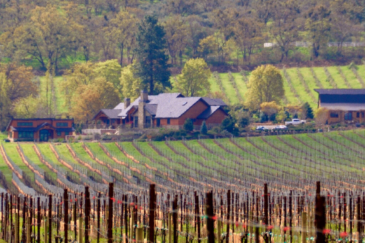 oregon vineyards for sale bellinger lane vineyard estate